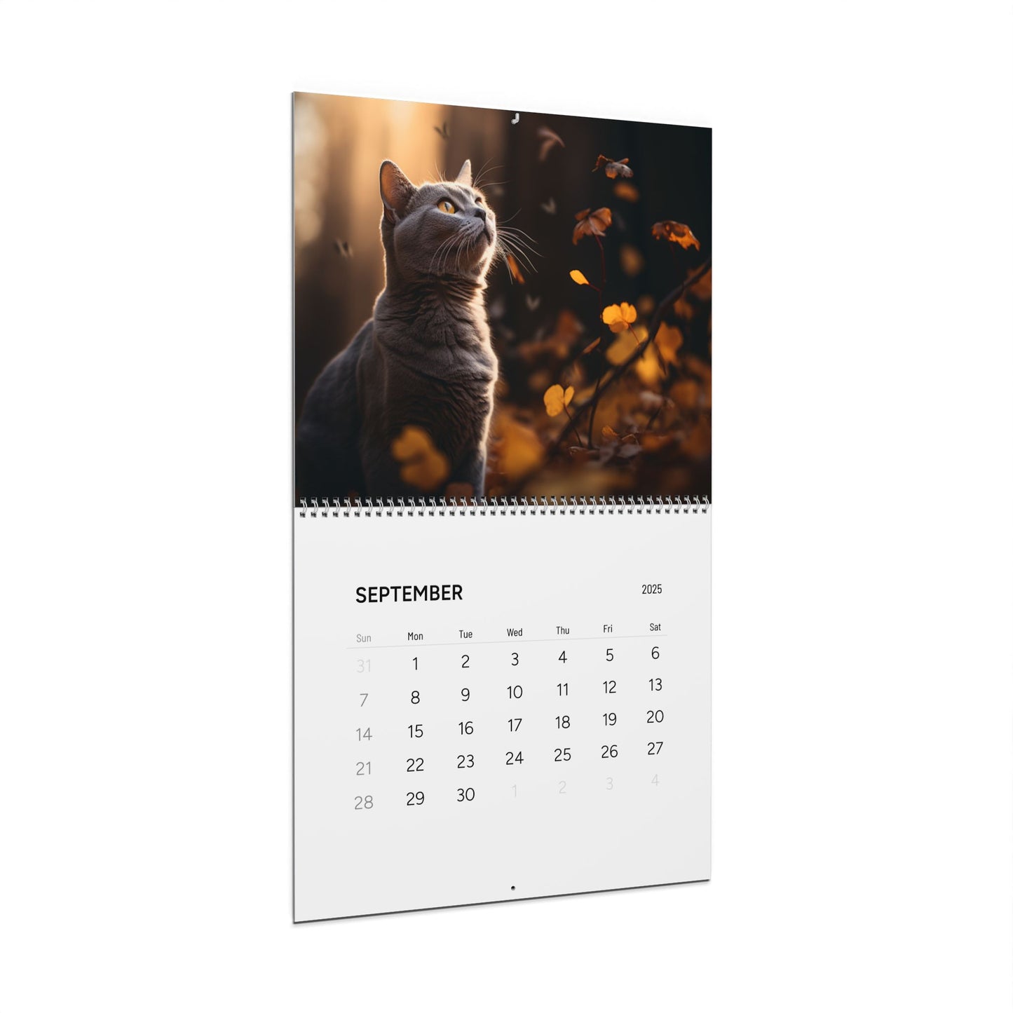 Cats Wall Calendar (2025) | Pet Calendar | Cats | Pets